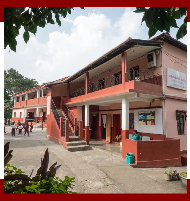 cherished buds school 